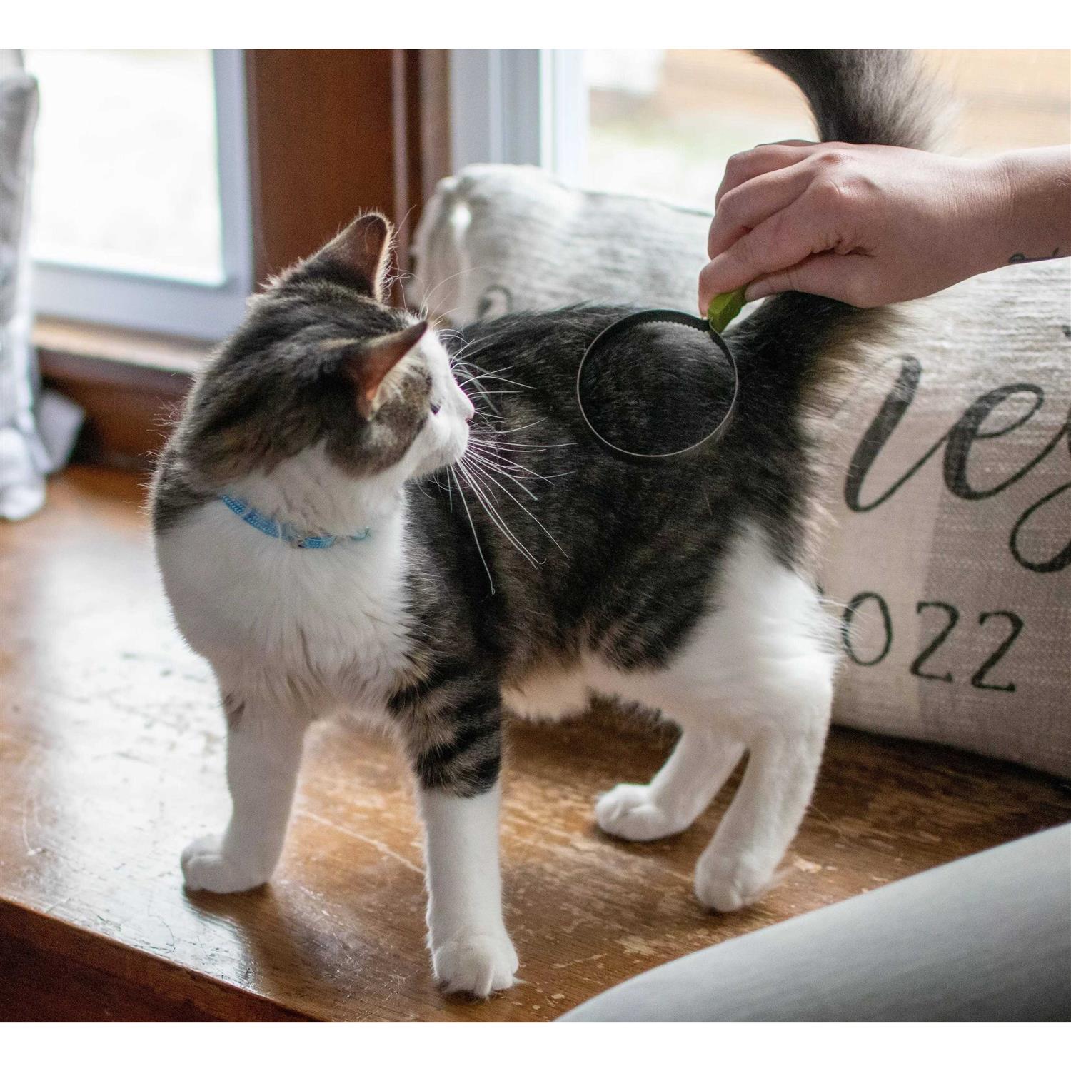 Safari Cat Shedding Blade - Healthber