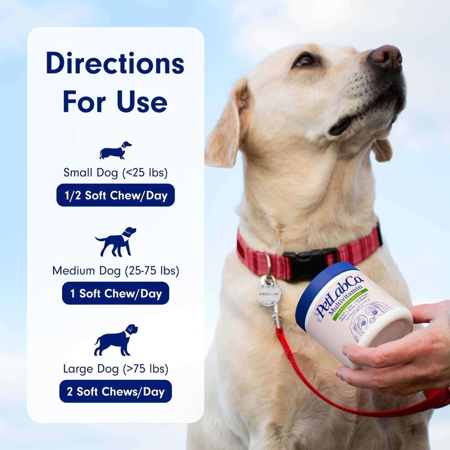 PetLab Co. 22 in 1 Dog Multivitamin Support Dog’s Immune Response - Healthber