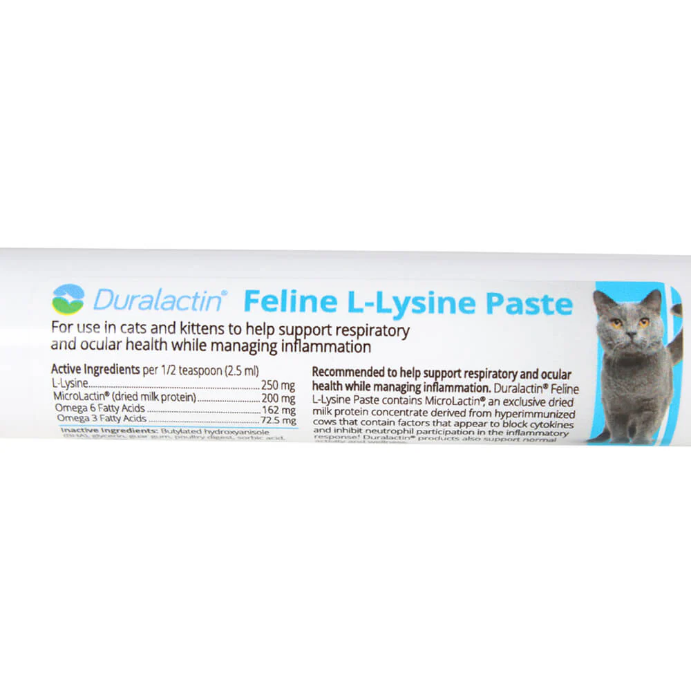 Duralactin Feline L-lysine, 32.5 ml Syringe - Healthber