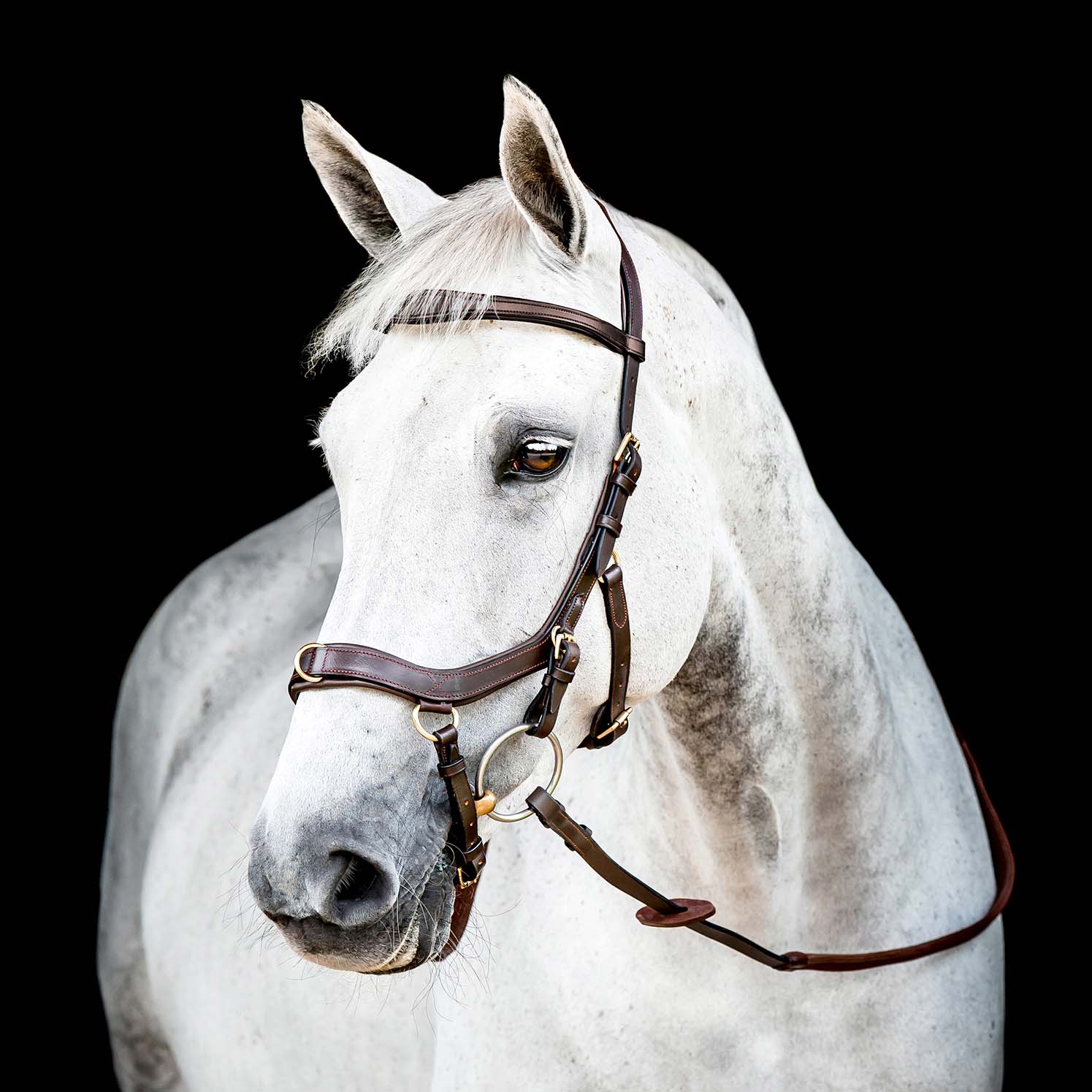 Micklem 2.0 Multi Bridle, Havana - Healthber