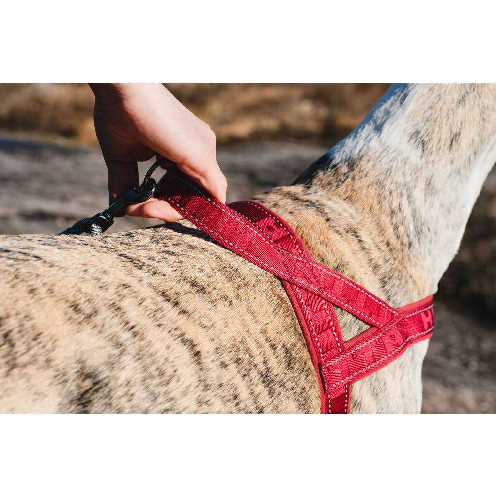 Hurtta Casual Padded Dog Y Harness - Healthber