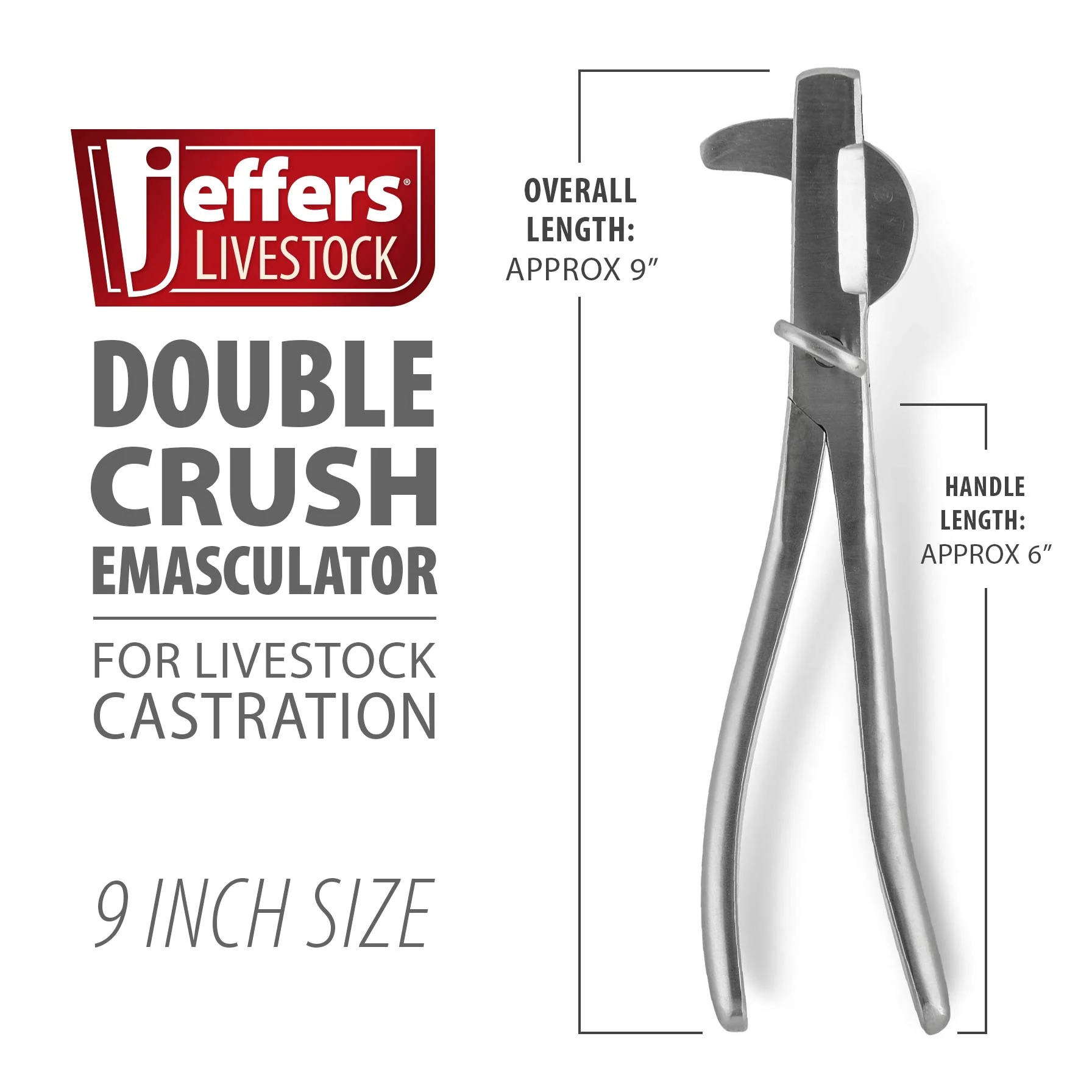 Double Crush Emasculator in Stainless Steel, 9 or 12 inch - Healthber