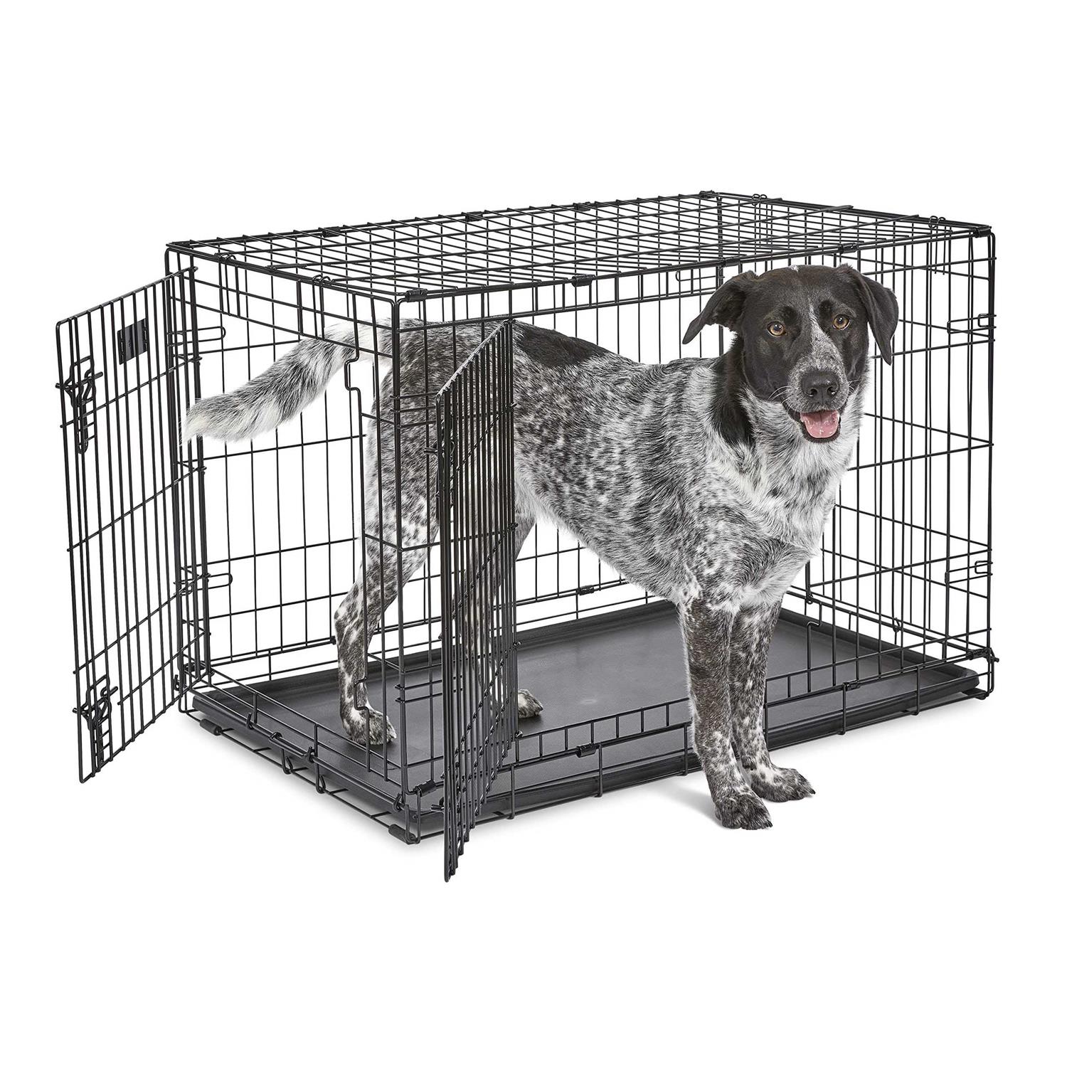 MidWest iCrate Double Door Fold Carry Dog Crate - Healthber