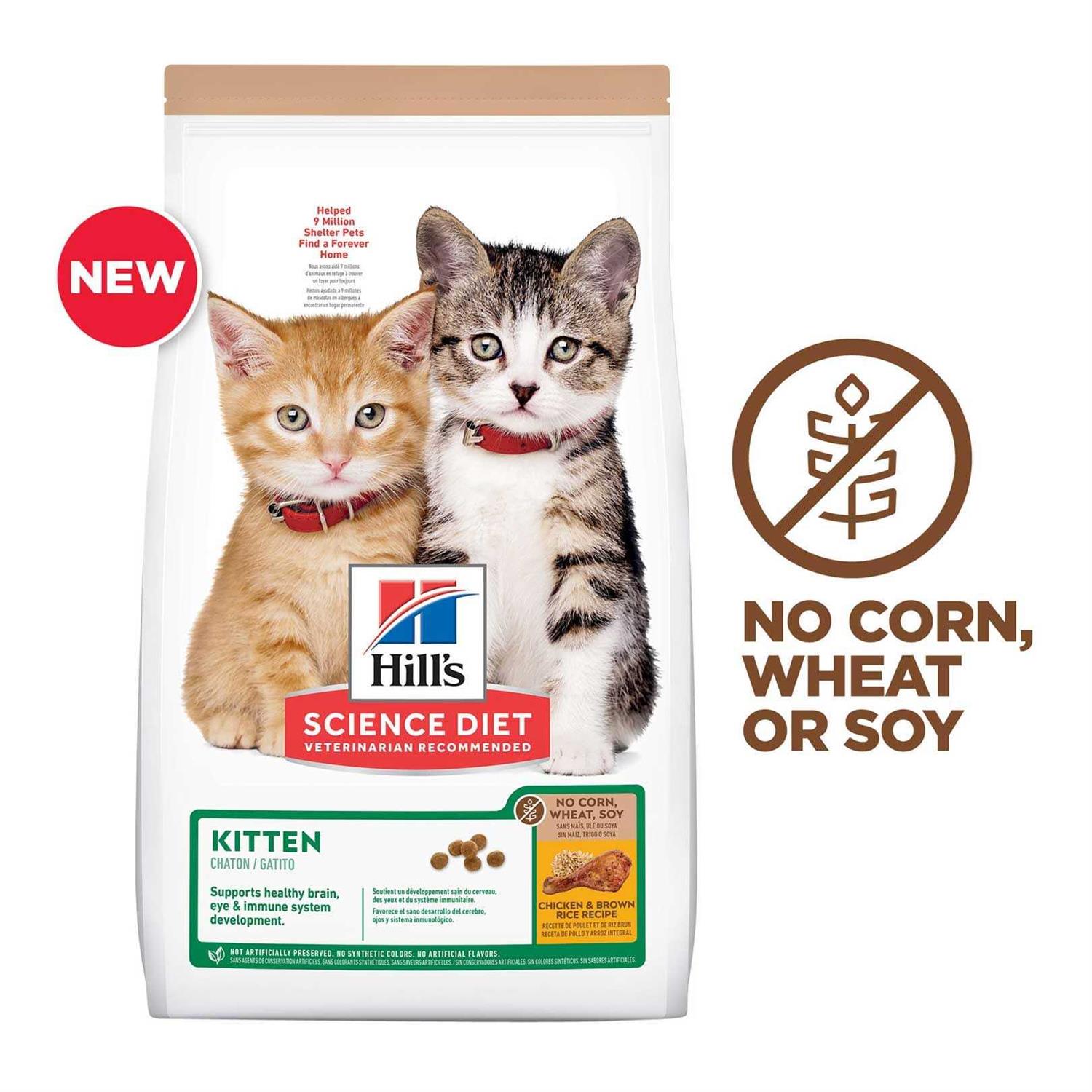 Hill’s Science Diet Kitten No Corn Wheat or Soy Dry Cat Food - Healthber