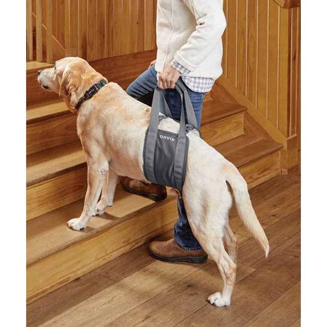 Orvis Gray Rear Dog Lift - Healthber