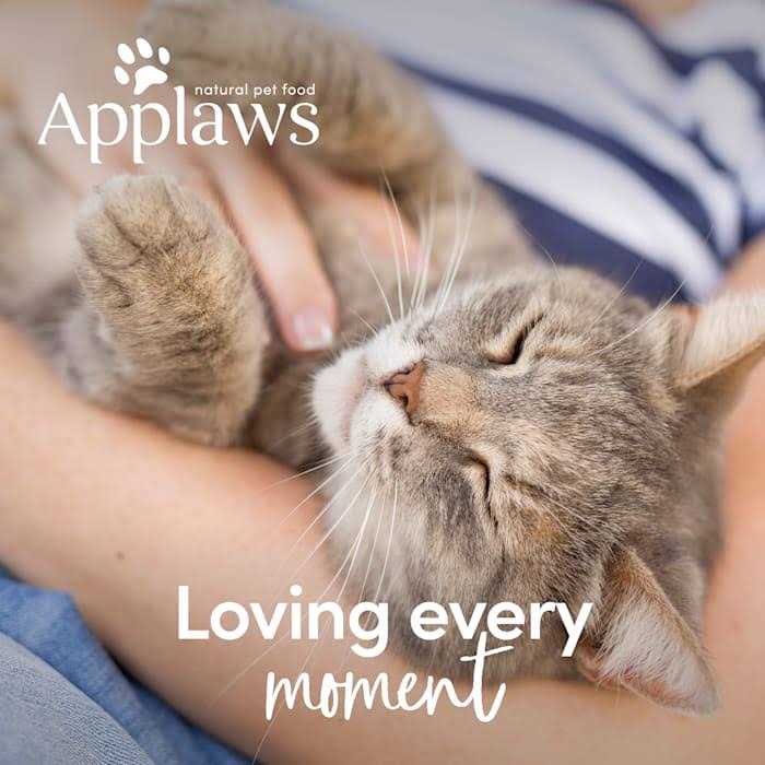 Applaws Chicken Broth with Chicken Breast Bone Broth Wet Cat Food - Healthber