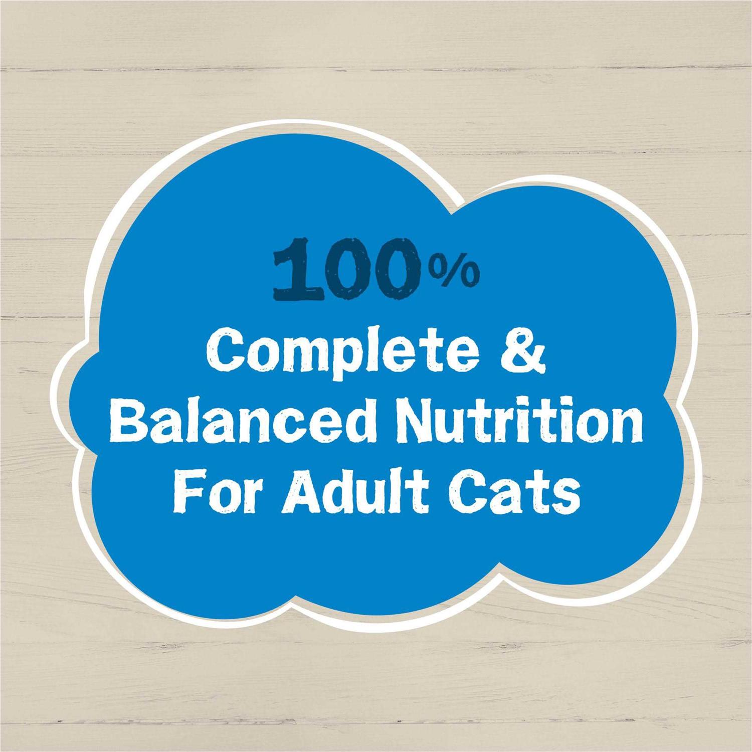 Purina Friskies Wet Cat Food Ocean Favorites - Healthber