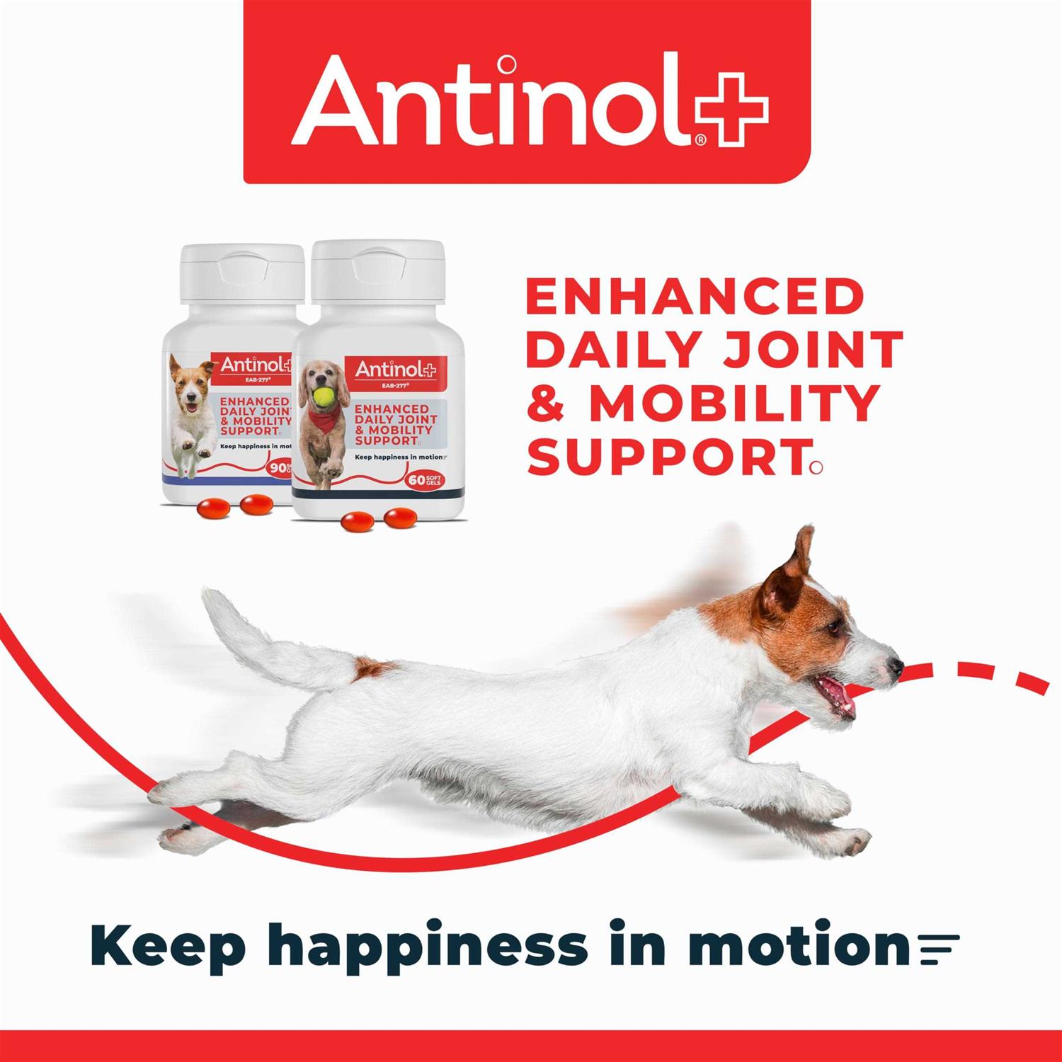 Antinol Plus 60ct - Healthber