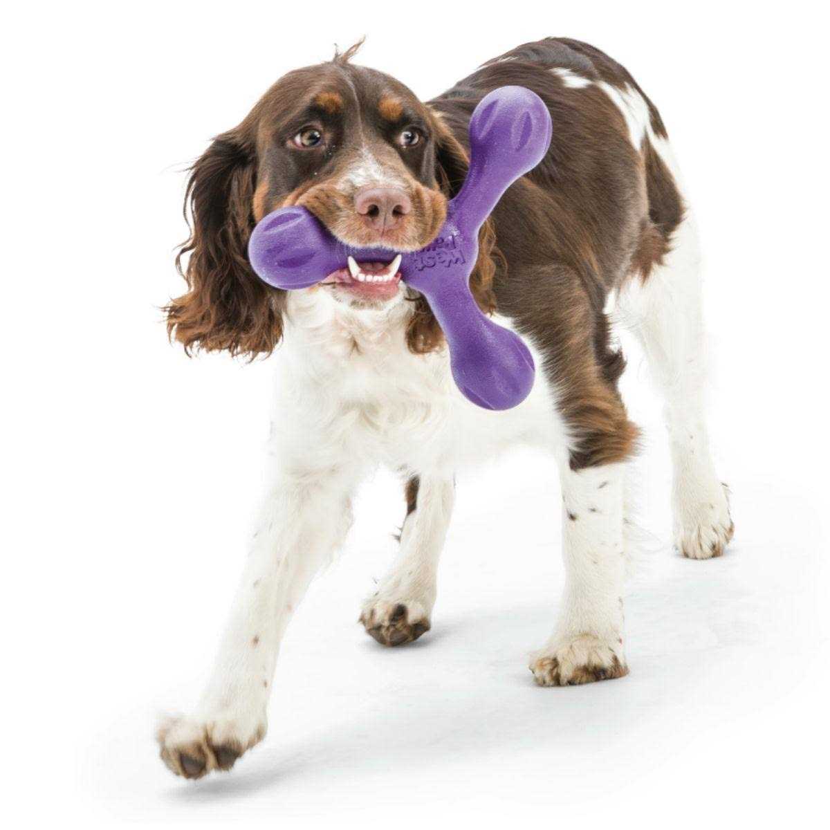 West Paw Skamp Dog Toy - Healthber