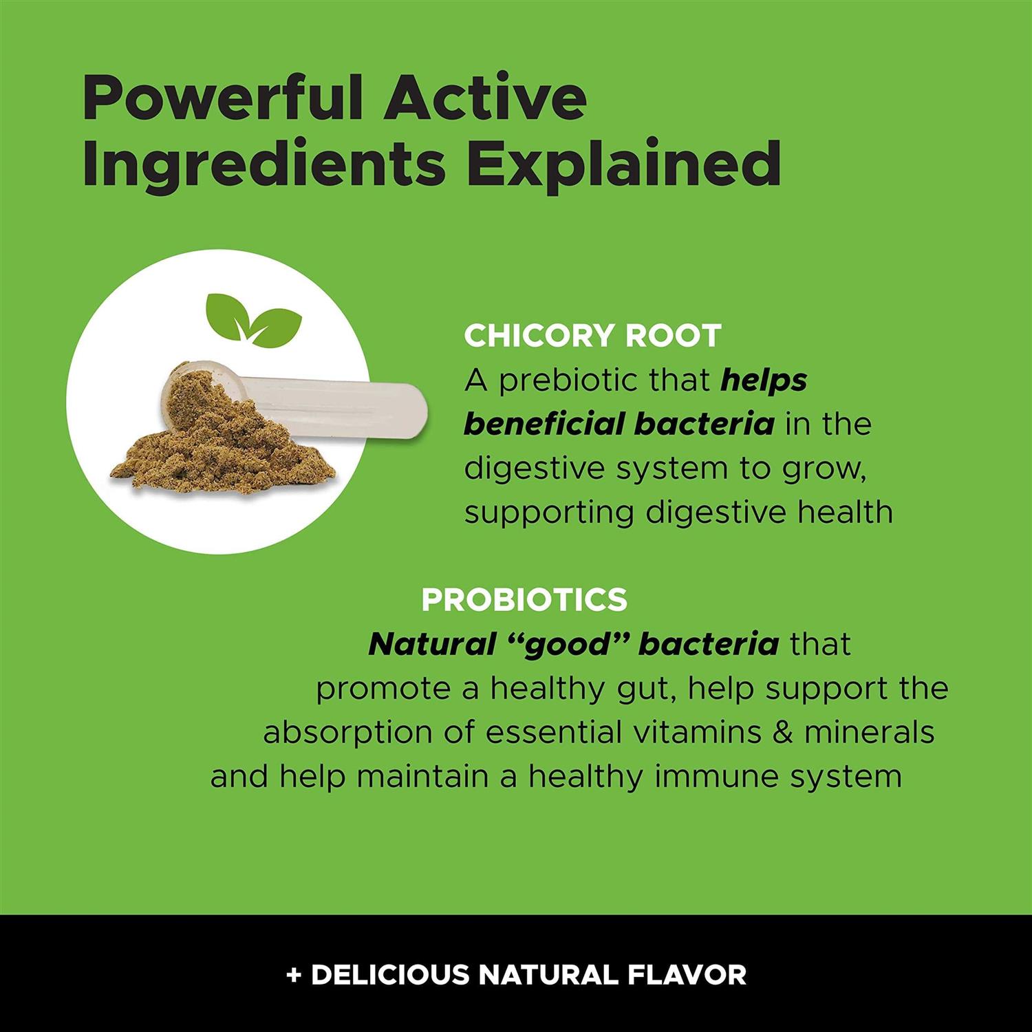 Pet Honesty Digestive Probiotics for Cats - Healthber