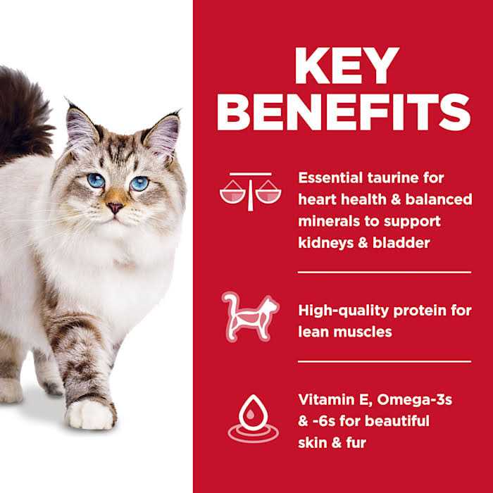 Hill’s Science Diet Adult No Corn, Wheat or Soy Chicken Dry Cat Food - Healthber