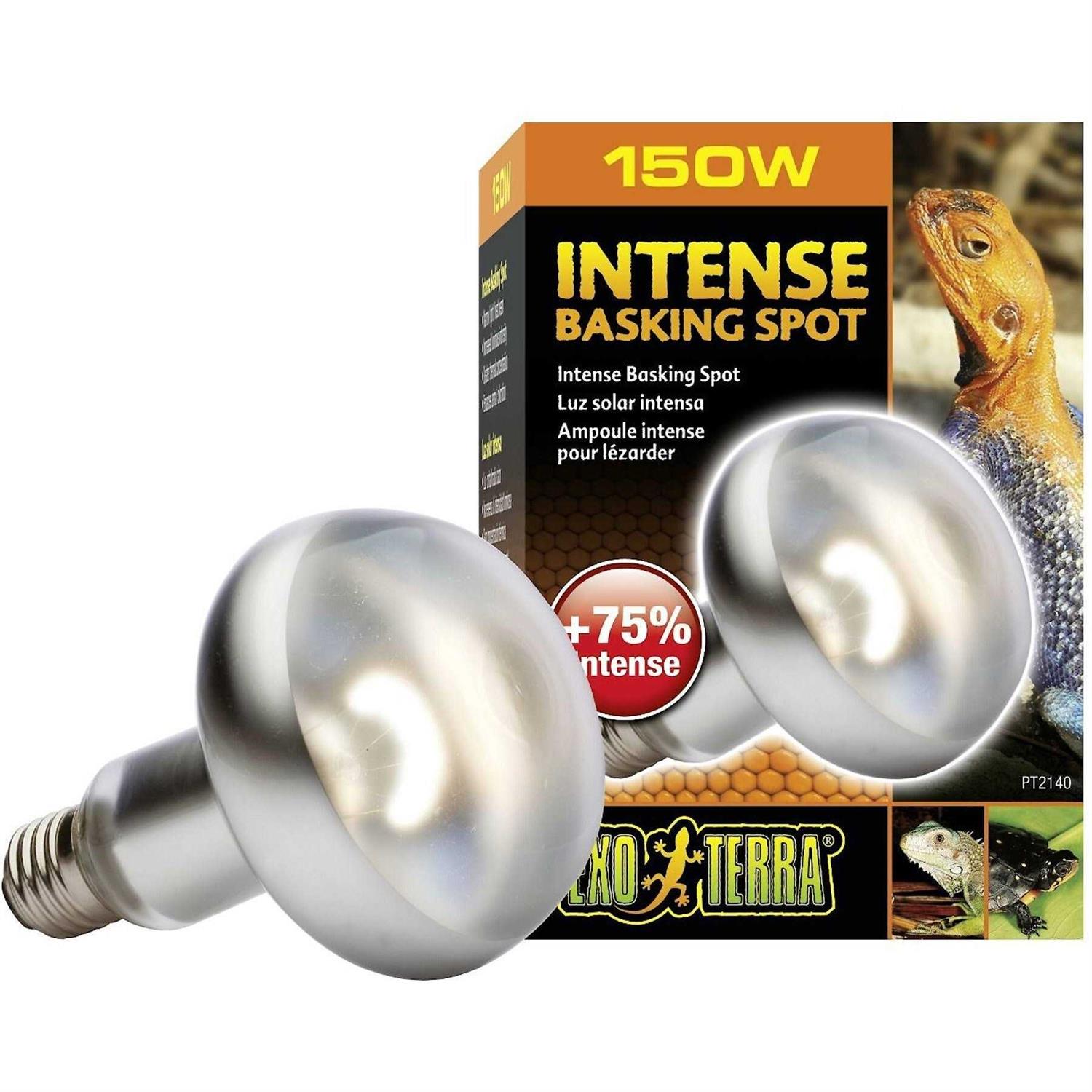 Exo Terra Intense Basking Spot - Healthber