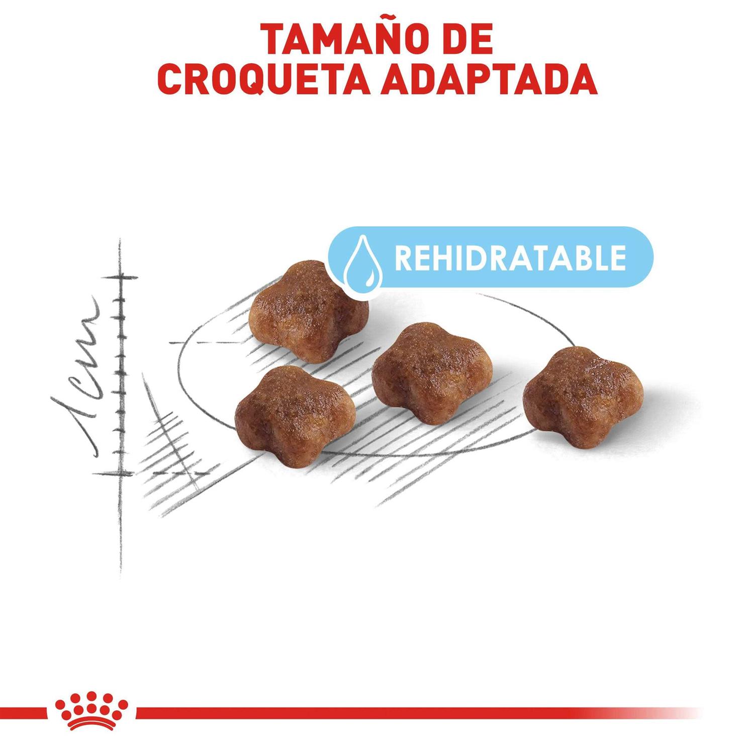 Royal Canin Mother & Baby Dry Cat Food - Healthber