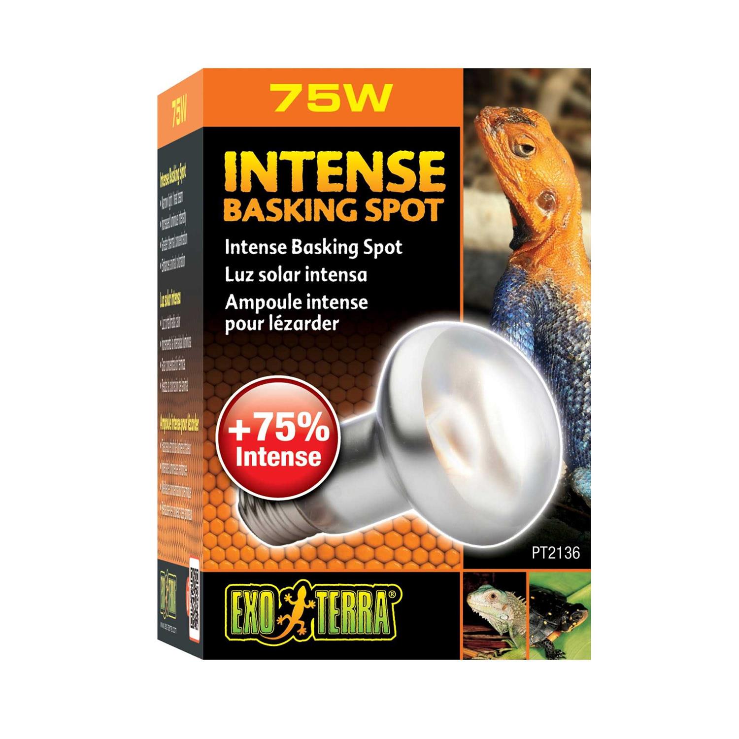 Exo Terra Intense Basking Spot - Healthber