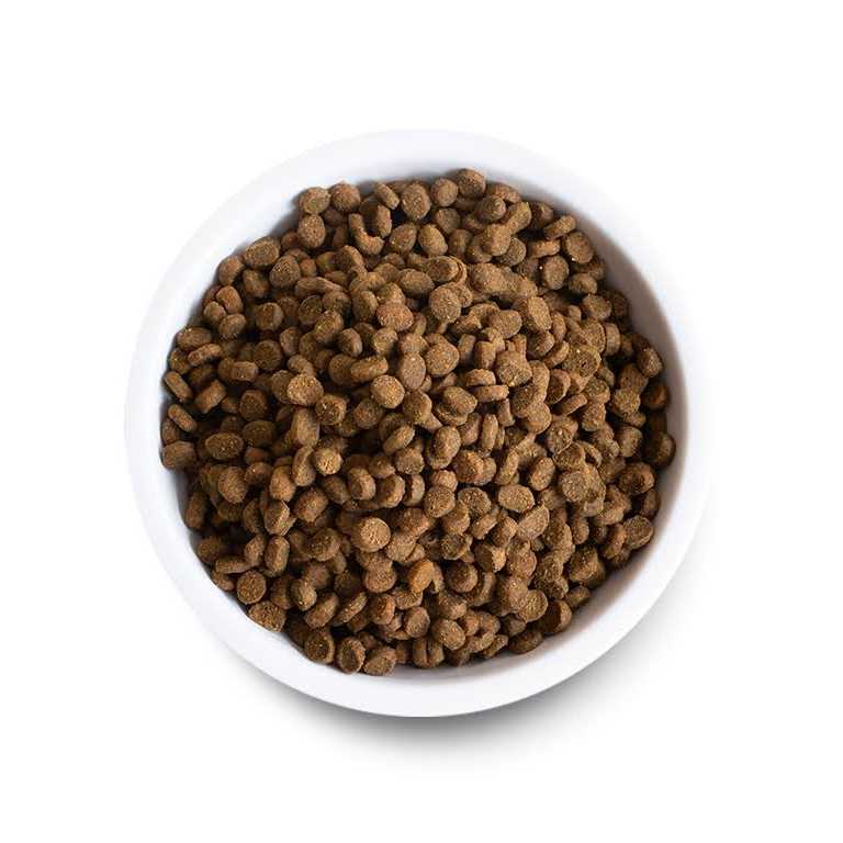 Open Farm Grain Free Pasture Raised Lamb Recipe Dry Cat Food - Healthber