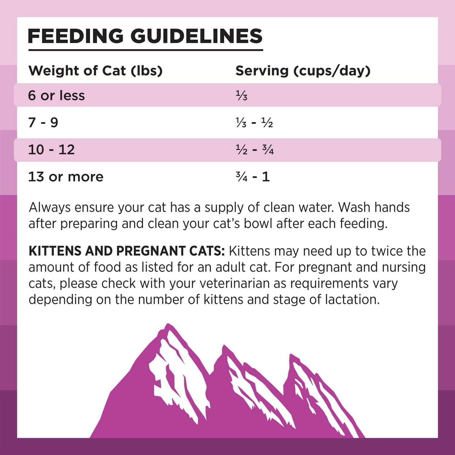 Bixbi Rawbble Chicken Recipe Dry Cat Food - Healthber