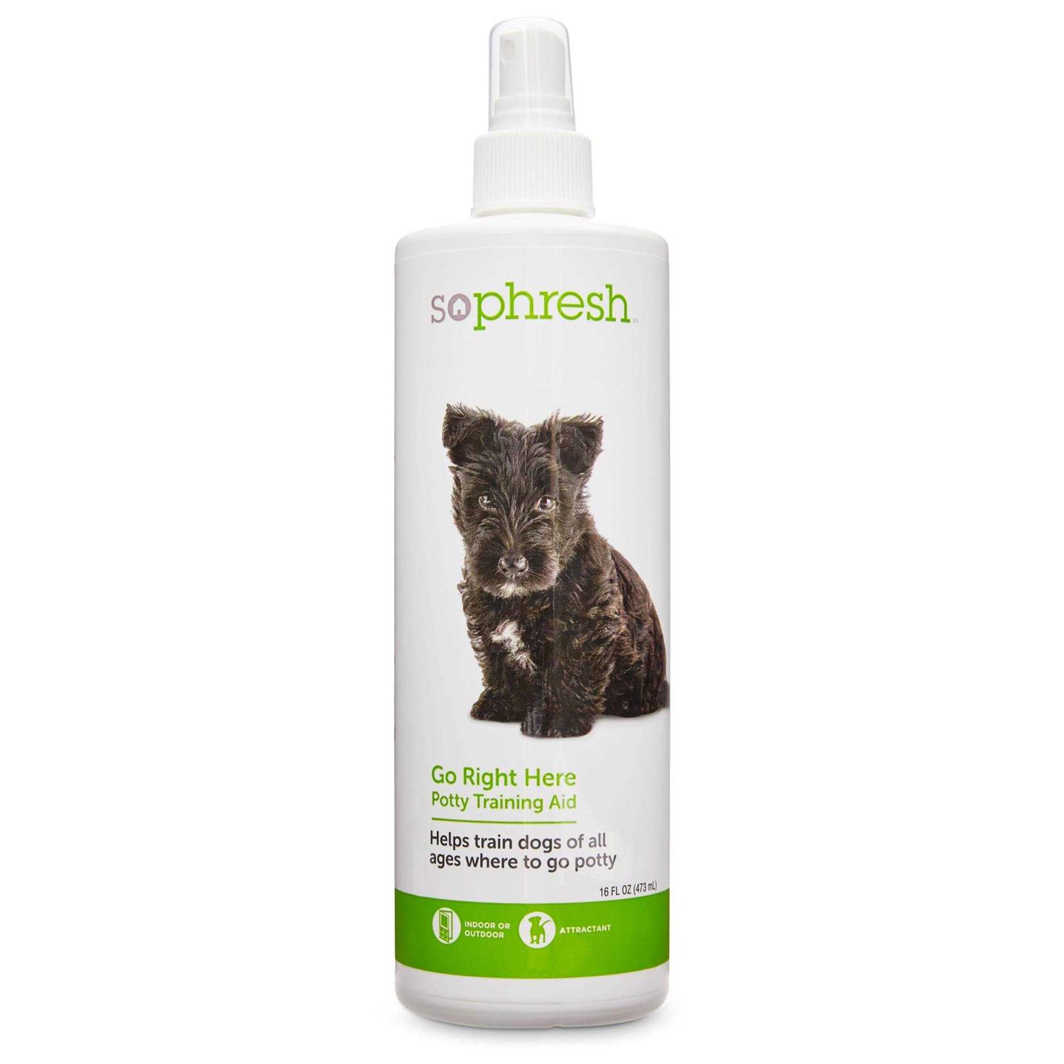 So Phresh Go Right Here Potty Training Spray - Healthber