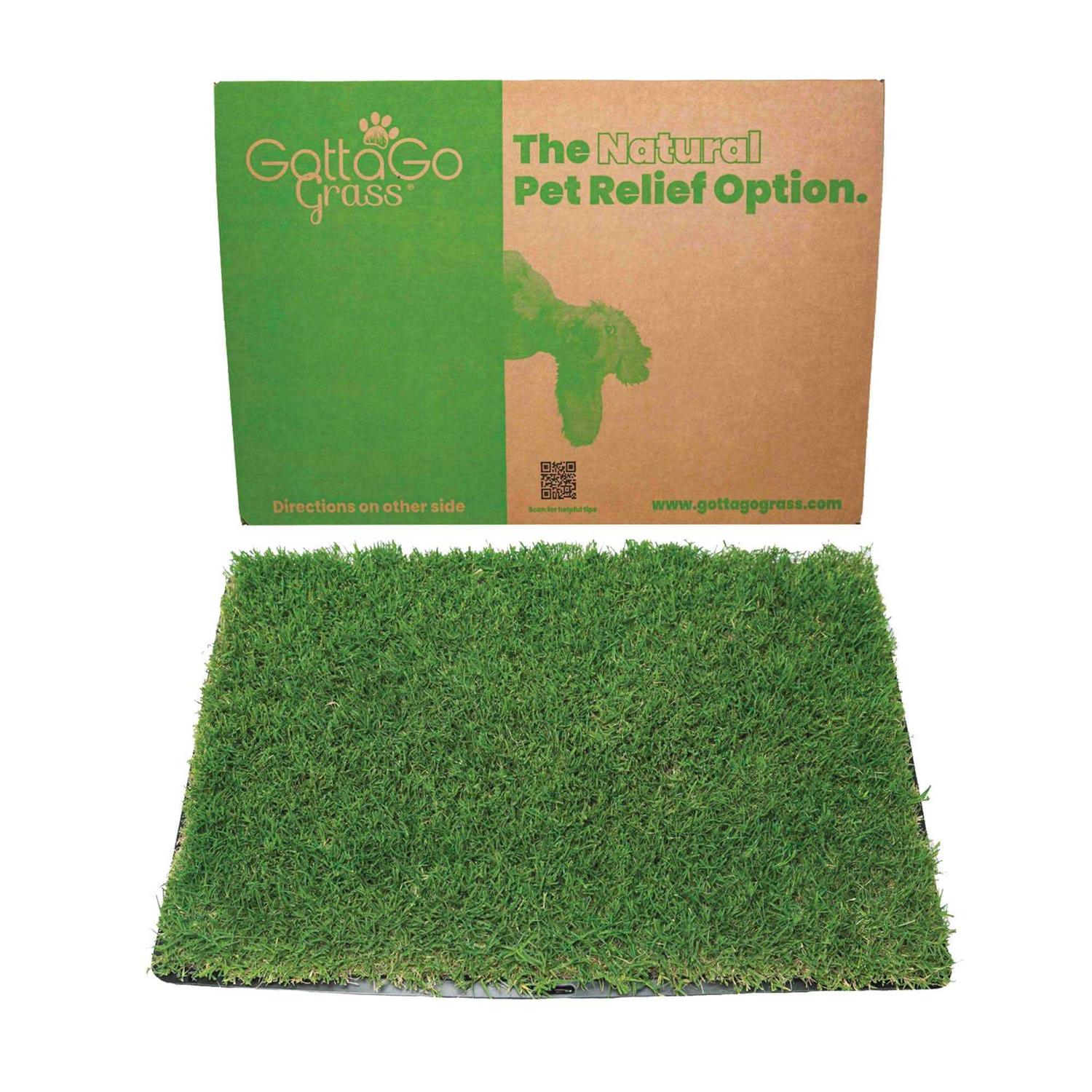Gotta Go Grass with Tray - Healthber