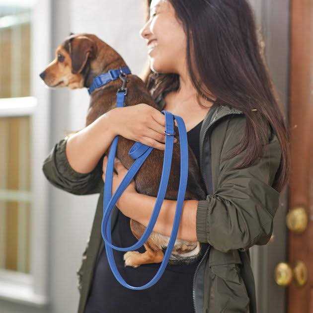 Frisco Comfort Padded Dog Leash - Healthber