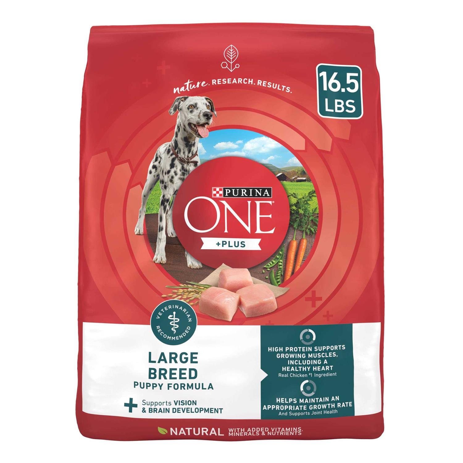 Purina ONE Large Breed Dry Puppy Food - Healthber