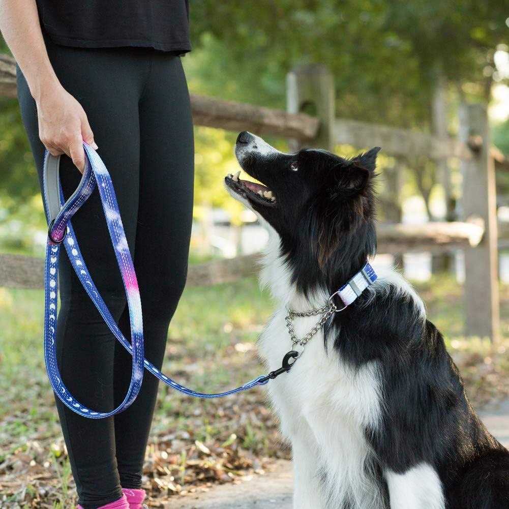 Leashboss Patterned Reflective Chain Martingale Dog collar - Healthber