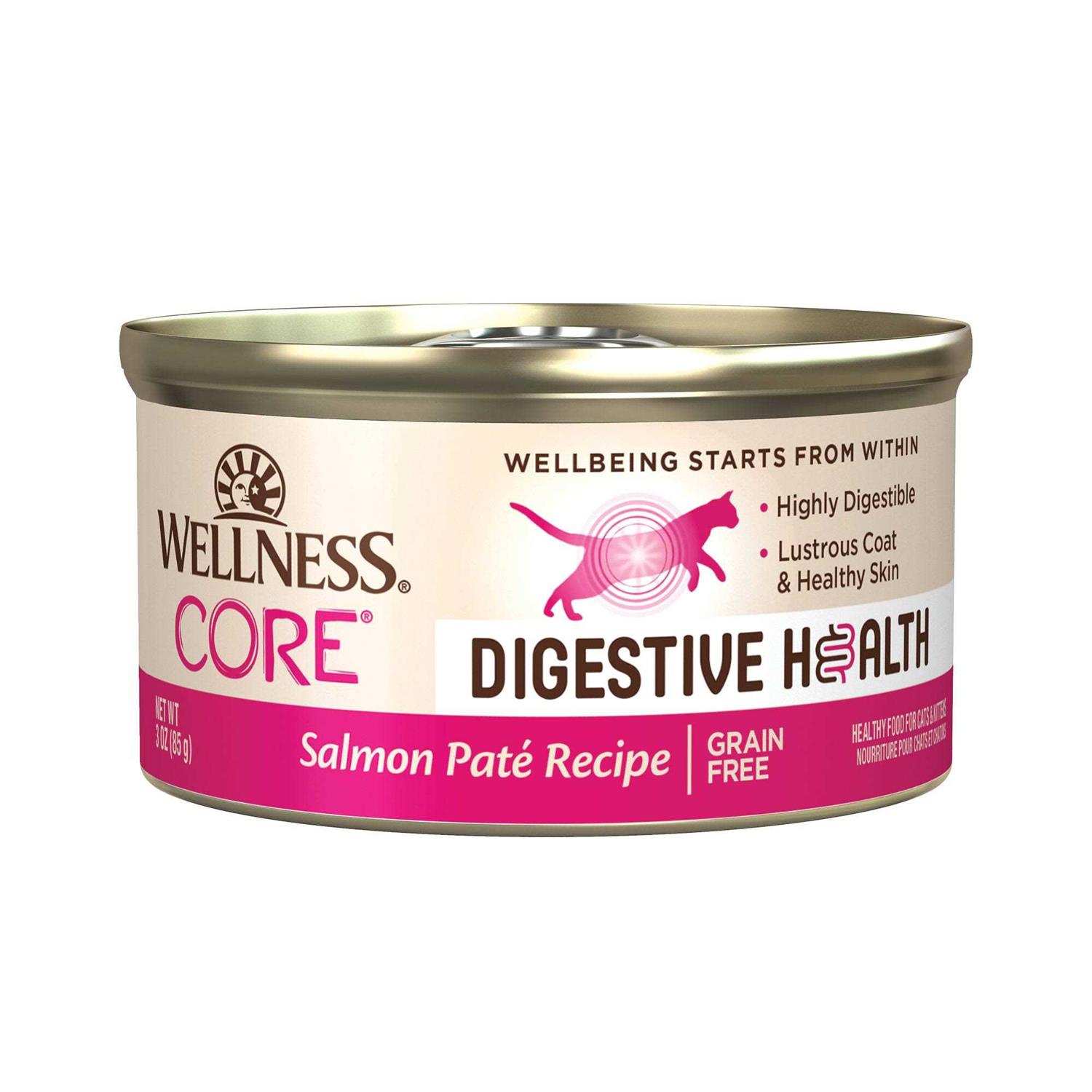 Wellness Core Digestive Health Pate Recipe Wet Cat Food - Healthber