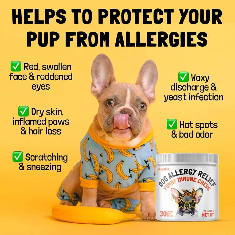 Legitpet Allergy Relief Chews for Dogs & Immune Support with Kelp Colostrum & Bee Pollen - Healthber