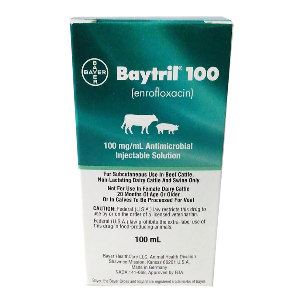 Rx Baytril 100 (enrofloxacin) 100mg/mL Antimicrobial Injectable Solution for Swine & Cattle - Healthber