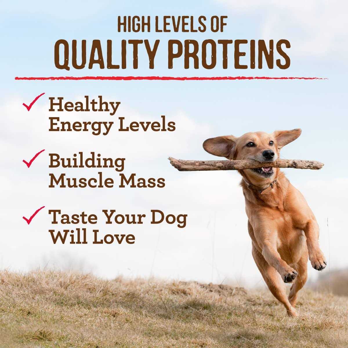 Merrick Grain-Free Real Beef Sweet Potato Dry Dog Food - Healthber