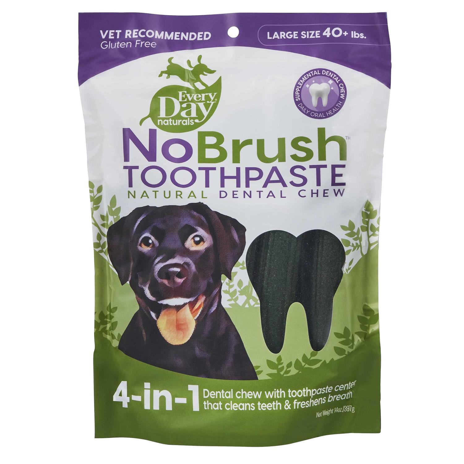 Every Day Naturals No Brush Toothpaste Dental Chew - Healthber