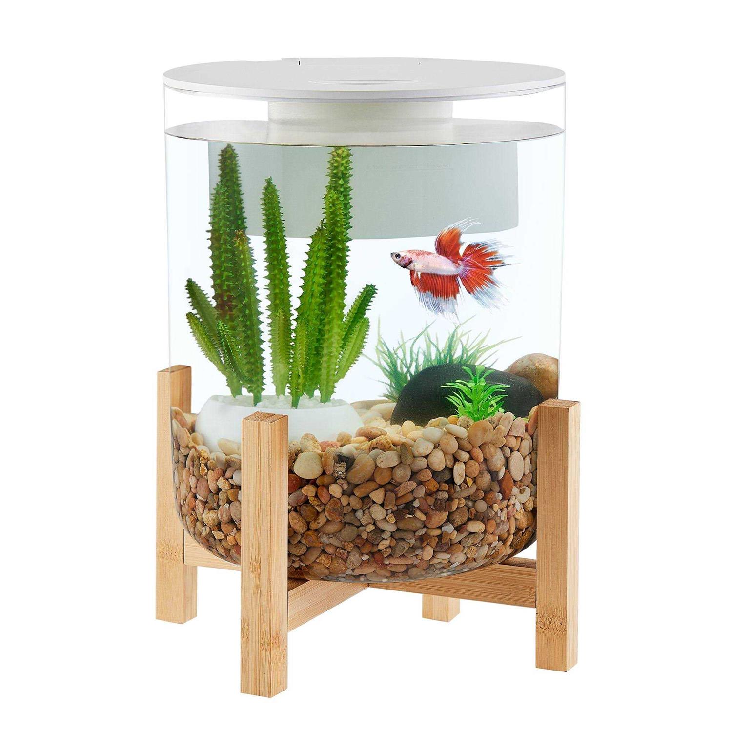 Top Fin Bamboo Baseal Aquarium - Healthber