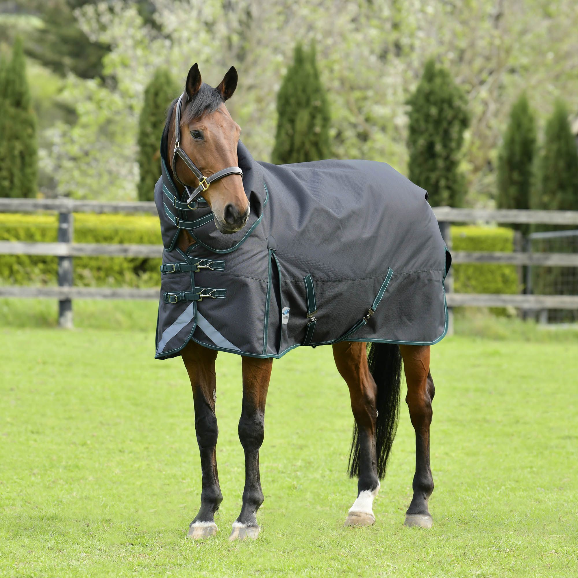 WeatherBeeta ComFITec Plus Dynamic II Detach-a-Neck Turnout Blanket, Medium - Healthber