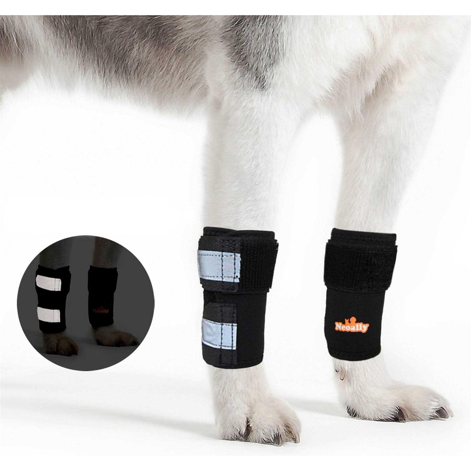 NeoAlly Pair Dog Front Leg Braces and Support Canine Front Leg Wrist Carpal - Healthber