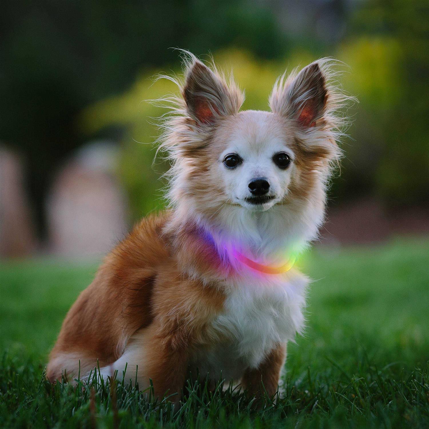 Nite Ize NiteHowl LED Mini Rechargeable Safety Necklace - Healthber
