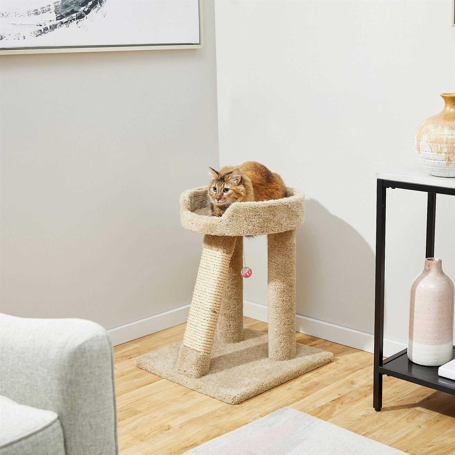 Frisco 24-in Real Carpet Cat Scratching Perch with Toy - Healthber
