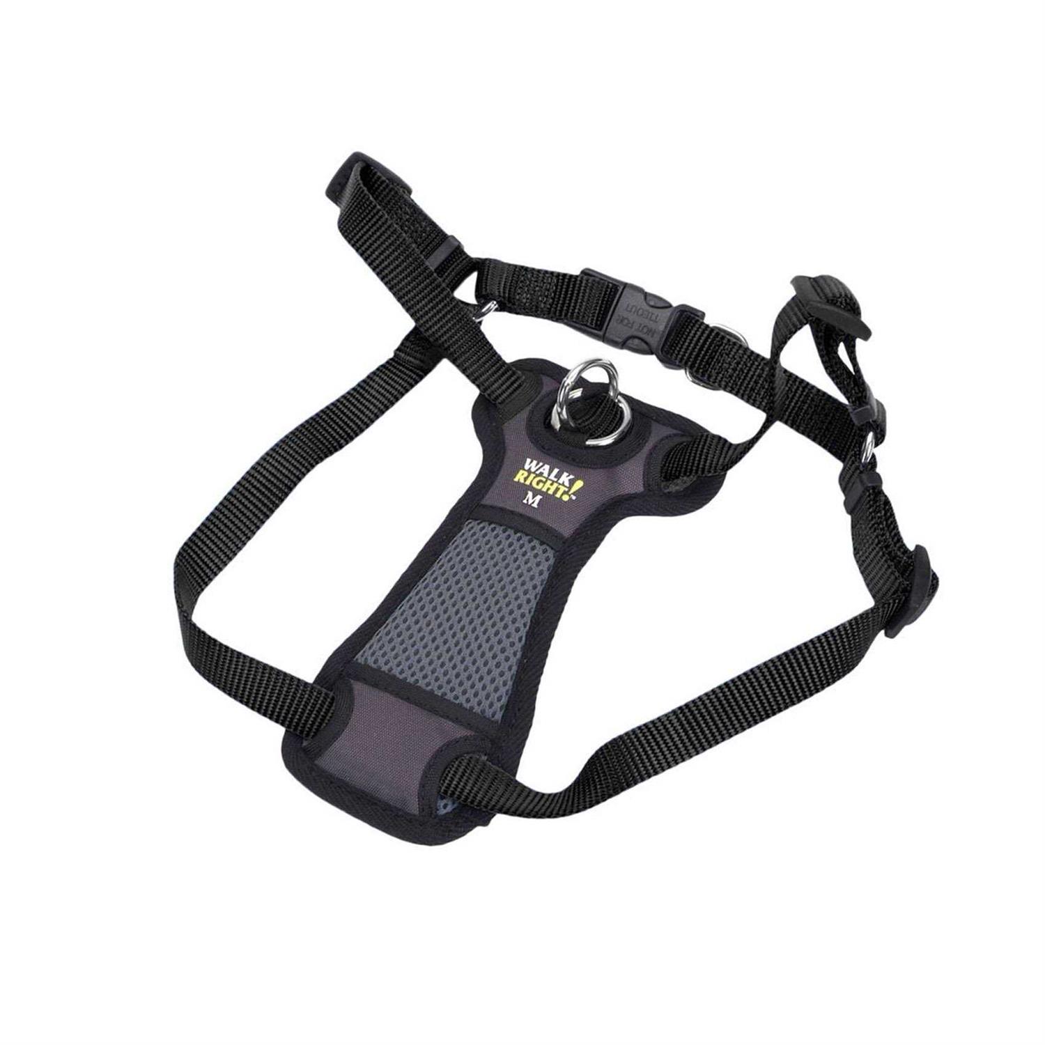 Coastal Pet Walk Right Padded Harness - Healthber