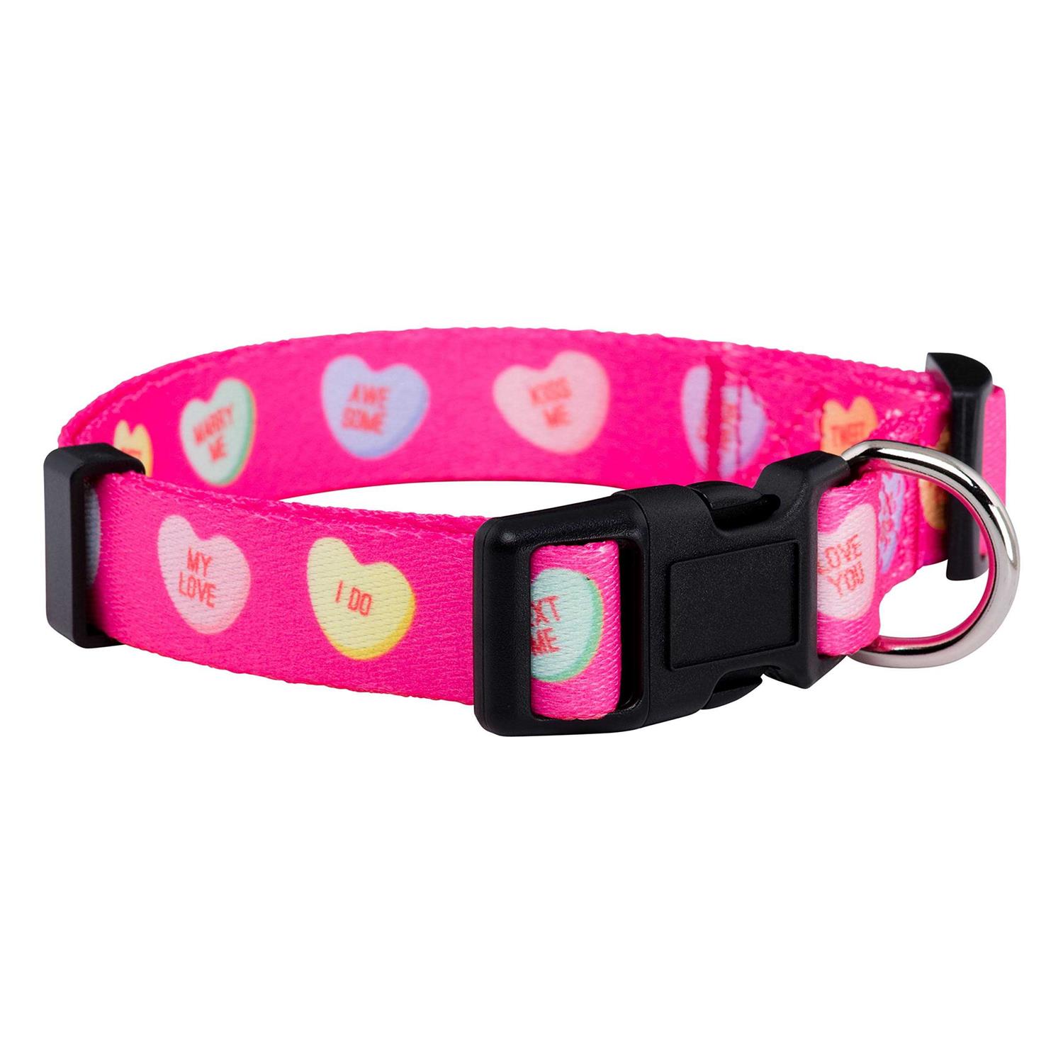 Native Pup Valentines Day Heart Dog Collar - Healthber
