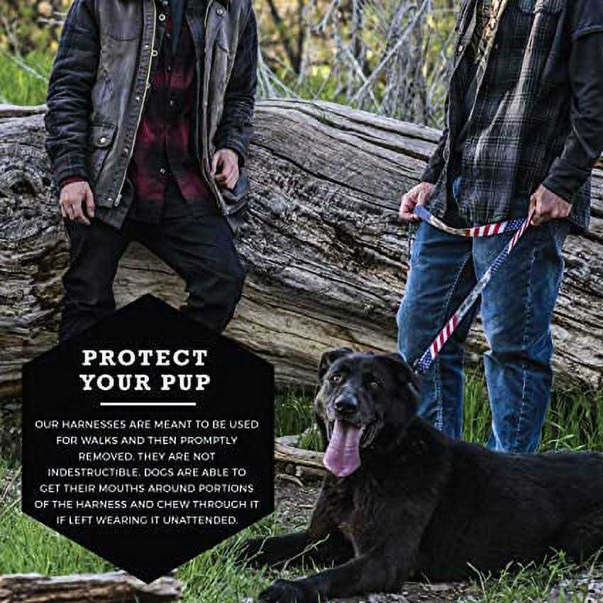 Wolfgang Premium No-Pull Dog Harness Dogs - Healthber