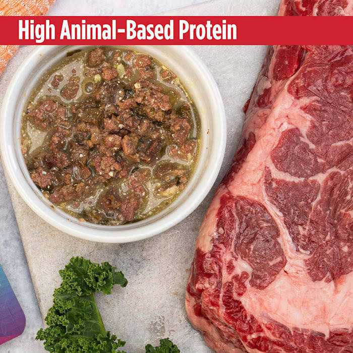 Nulo MedalSeries Limited Ingredient Broth Wet Dog Food - Healthber