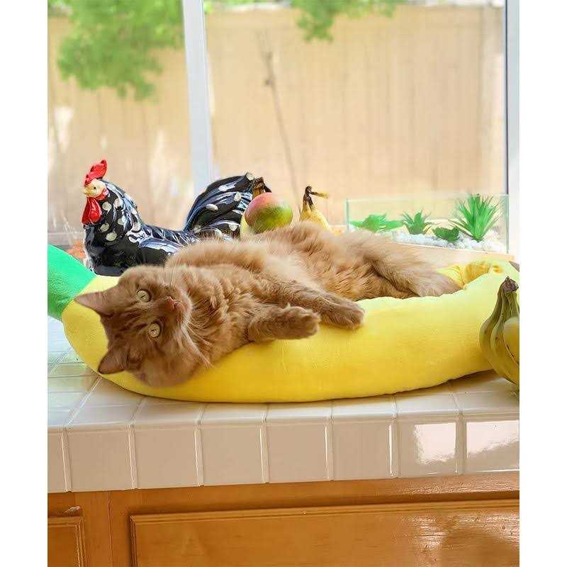 Silicute Dog Bed Cat Bed Pet Bed Comfortable and Washable in Banana Shape and Color w/Removable Cushion - Healthber