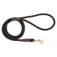 Mendota Snap Leash - Healthber