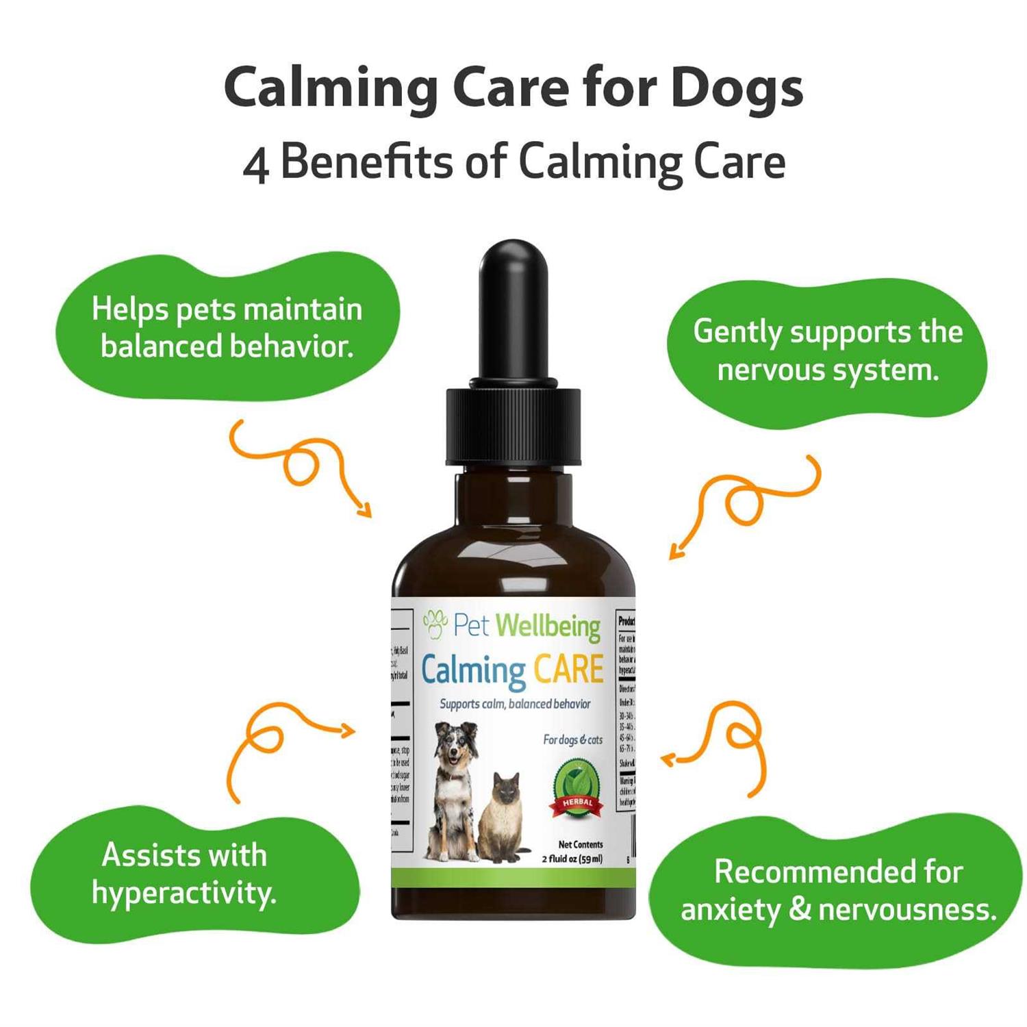Pet Wellbeing Calming Care for Dog Anxiety and Stress - Healthber