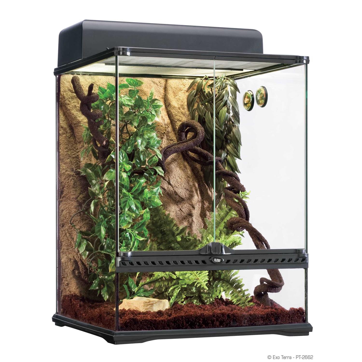 Exo Terra Rainforest Habitat Kit - Healthber