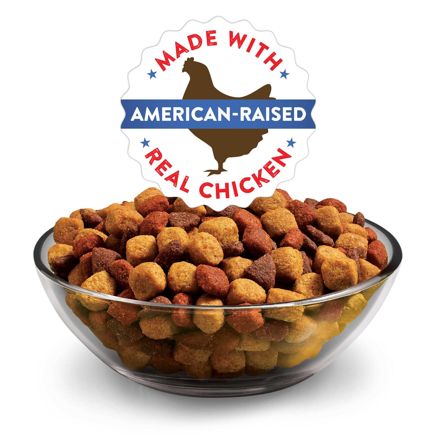 Purina Dog Chow Complete & Balanced Dry Dog Food - Healthber