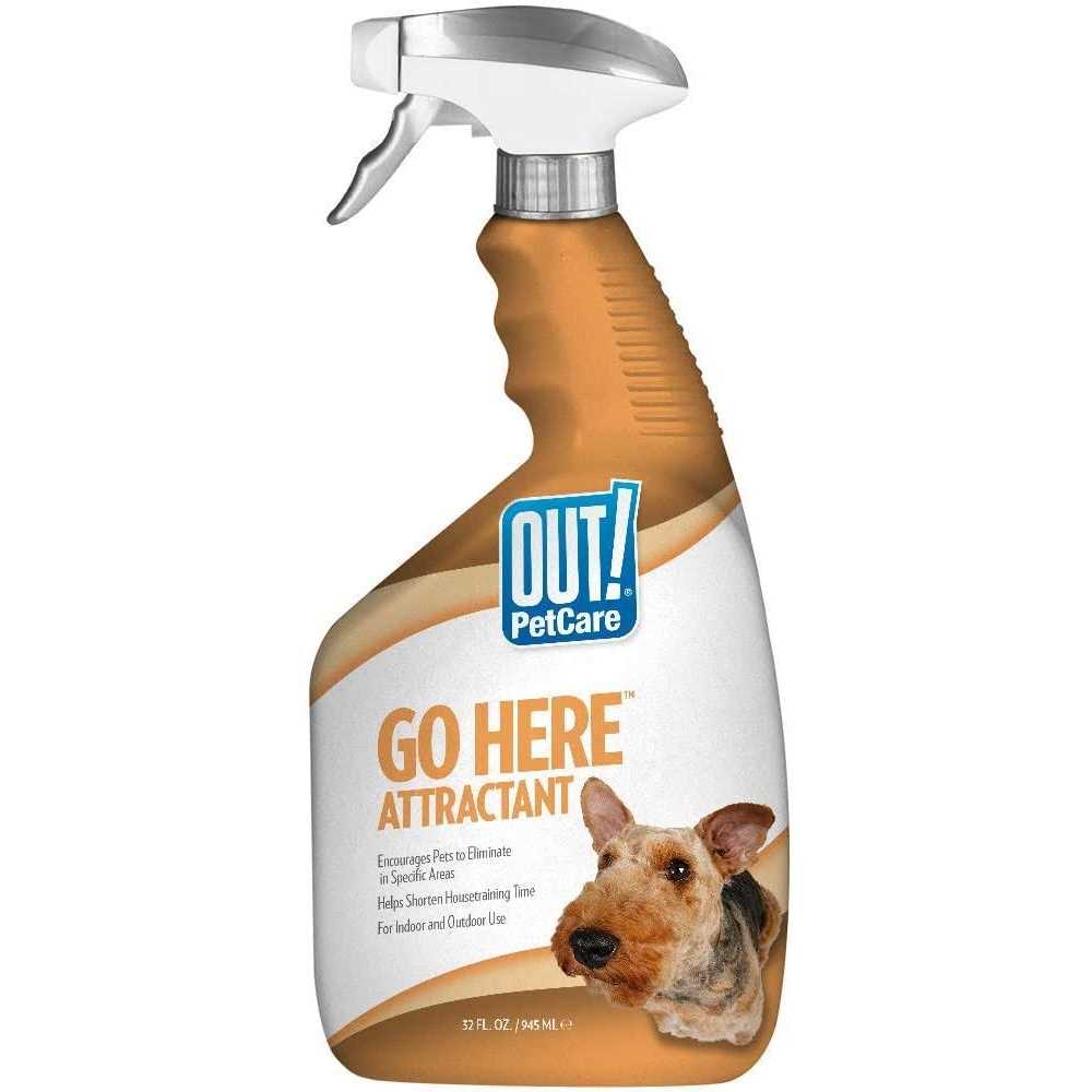 Out! Petcare Go Here Attractant Indoor and Outdoor Dog Training Spray - Healthber