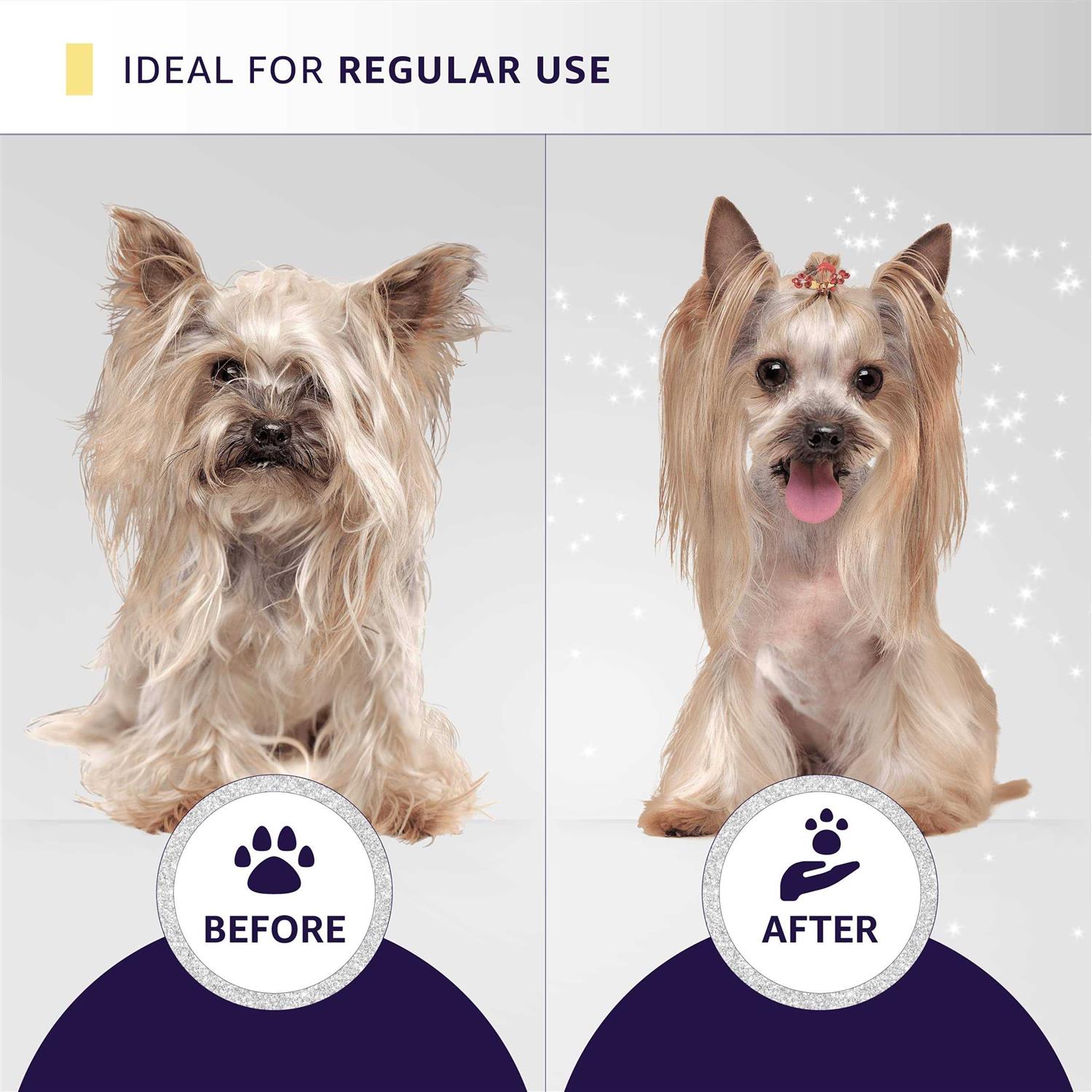Hydra Professional Experience Set, cat and Dog grooming Shampoo, conditioner, and Sprays, Dog and cat grooming Supplies - Healthber