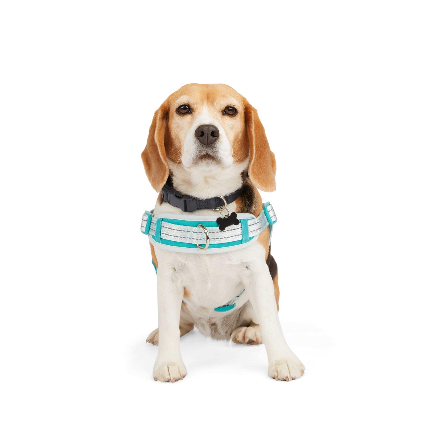 EveryYay Easy On Training Dog Harness - Healthber