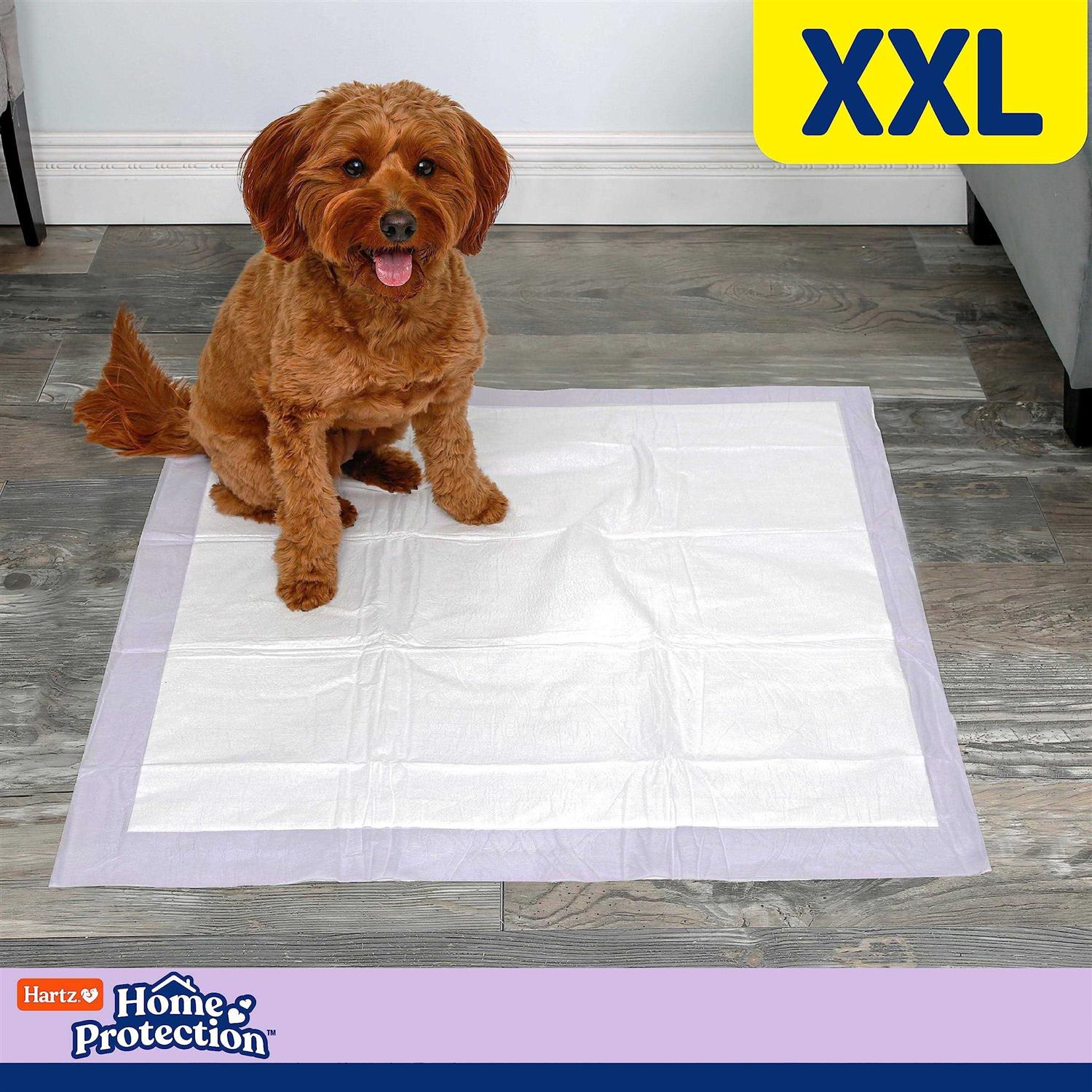 Hartz Home Protection Lavender Scent Odor Eliminating Dog Pads - Healthber
