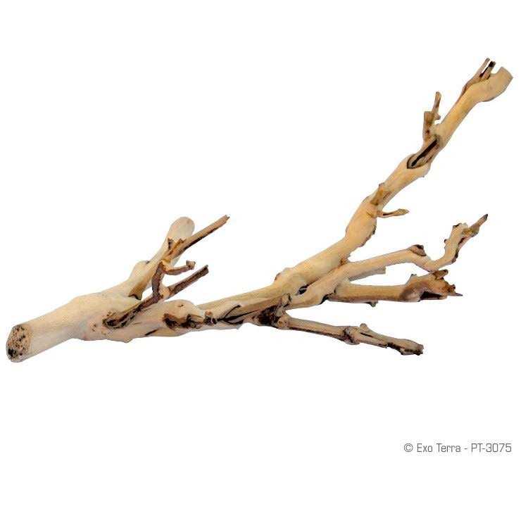 Exo Terra Forest Branch - Healthber