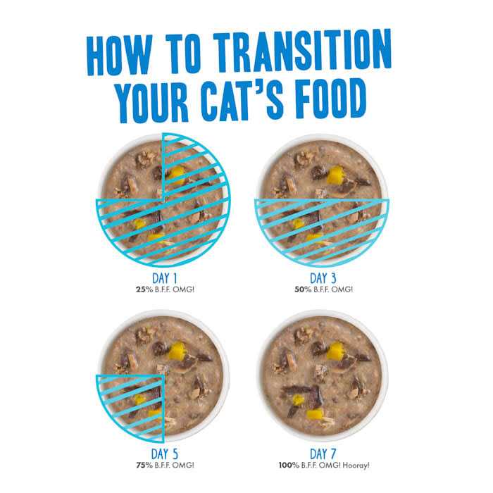B.F.F. OMG It’s Gravy Baby! Variety Pack Wet Cat Food - Healthber